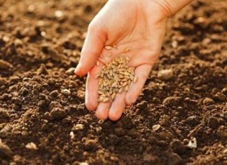 Considerazioni sul Mito