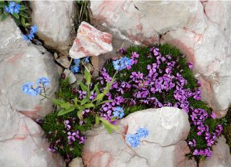 I MIEI “n” DOGMI SULL’UTILIZZO DELL’ASTROLOGIA