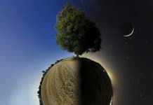 Il Padre e la Madre nel Tema Natale