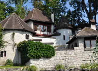 L’Oroscopo di Jung e Anima