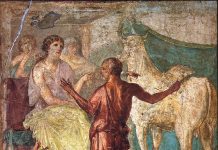 La X casa in Toro e la Persona