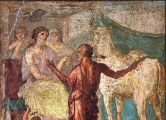 La X casa in Toro e la Persona