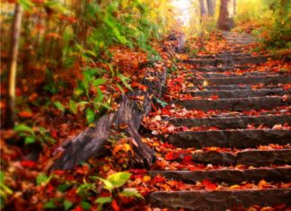 Luna nuova del 19 ottobre 2017