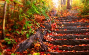 Luna nuova del 19 ottobre 2017