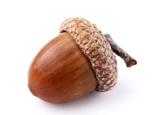 Il mio amico Alessandro alla ricerca dei suoi Gemelli Astrali