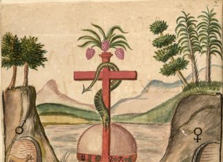 Zodiaco e immortalità