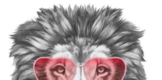 L’Ascendente – linee guida all’interpretazione