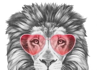 L’Ascendente – linee guida all’interpretazione