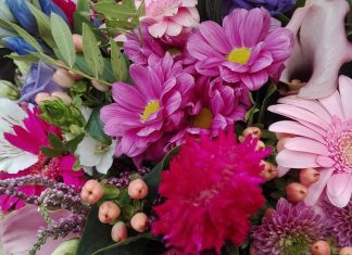 Oroscopo dell’anno 2019 per i dodici segni