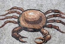 Jung e il segno del Cancro – Considerazioni