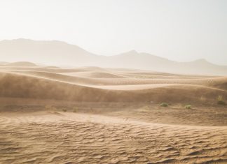 Venere entra in Gemelli
