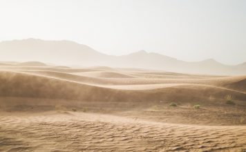 Venere entra in Gemelli