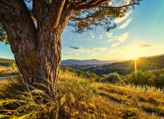 SENSAZIONE DI DISGREGAZIONE E ASSUNZIONE DI VALORE PER SE STESSI