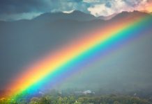 Animus nel tema natale. Vladimir Luxuria