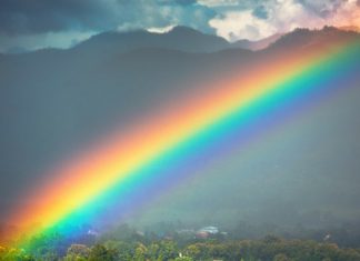 Animus nel tema natale. Vladimir Luxuria