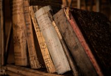 L’Ascendente e il suo significato – Due video lezioni.