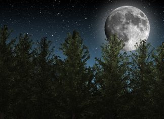 La Luna piena del 7 maggio – Persefone e Mynta