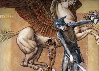 Medusa – alla ricerca della coscienza