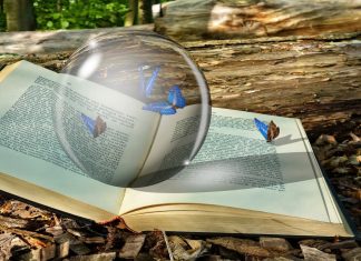 Cosa si può davvero prevedere?