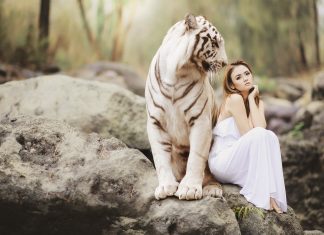 Qual è il mio partner ideale?