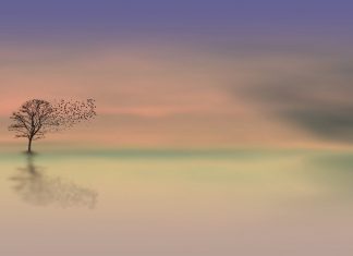 Confini. Conversazioni tra Psicologia, Letteratura e Astrologia.