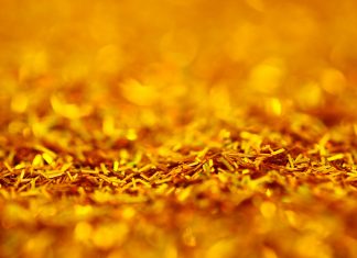 Mida, Bacco, euforia e cupidigia