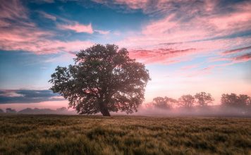 Faccio la consulenza con te e in 30 minuti scopro tantissime cose di me. Perche?