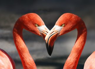 Perché non riesco a vivere storie d’amore soddisfacenti?